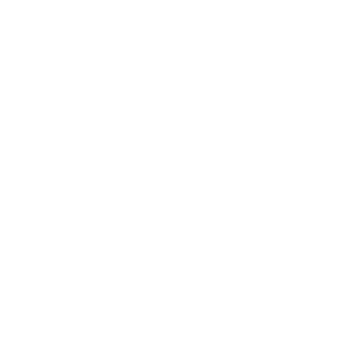 Fintor Logo